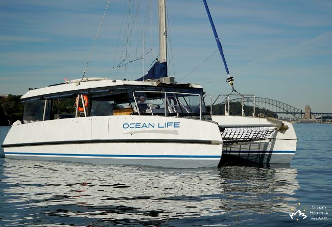 HARBOUR CAT 41' Alumarine Sailing Catamaran Corporate Charter